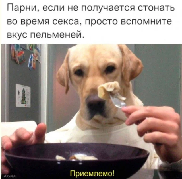 То, что вы не ожидали увидеть: подборка кадров фото, подборка, интересное, визуал