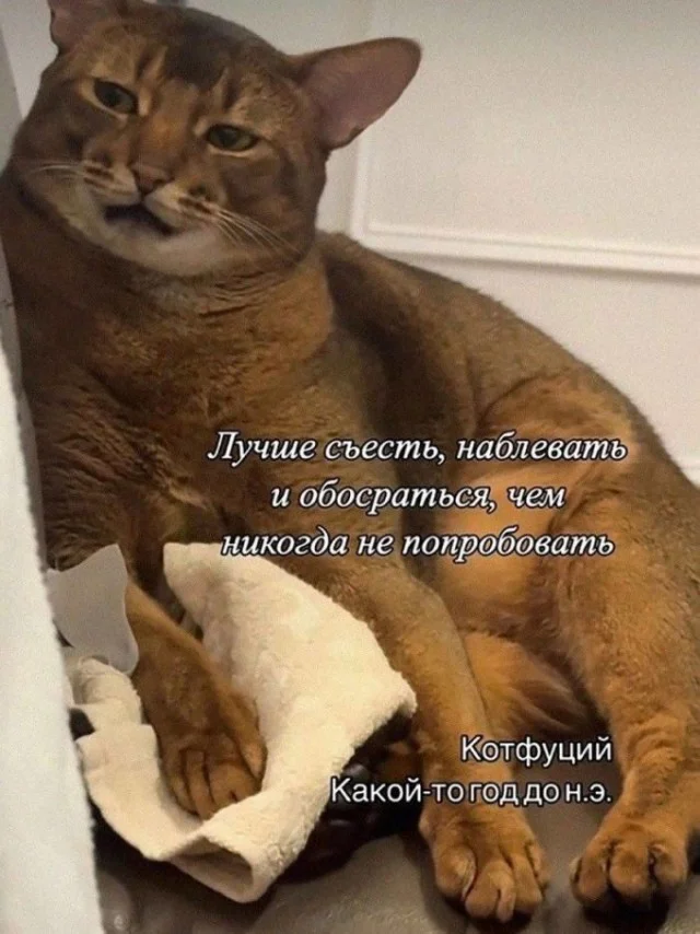 Пятница — время смеяться! 50+ мемов, которые разорвут ваш вечер пятница, мемы, юмор, приколы, картинки, хорошее настроение, выходные
