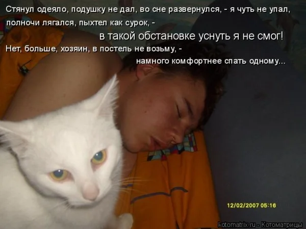 Если деньги не радуют — они чужие деньги, финансы, мотивация, приколы, подборка