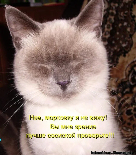 Если деньги не радуют — они чужие деньги, финансы, мотивация, приколы, подборка