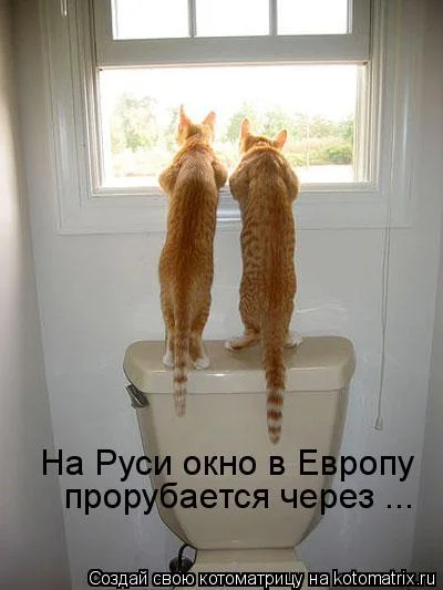 Если деньги не радуют — они чужие