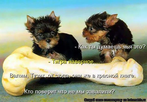 Если деньги не радуют — они чужие деньги, финансы, мотивация, приколы, подборка