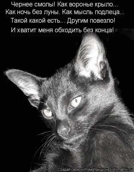 Если деньги не радуют — они чужие деньги, финансы, мотивация, приколы, подборка