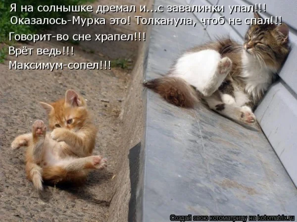 Если деньги не радуют — они чужие деньги, финансы, мотивация, приколы, подборка