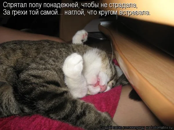 Если деньги не радуют — они чужие деньги, финансы, мотивация, приколы, подборка