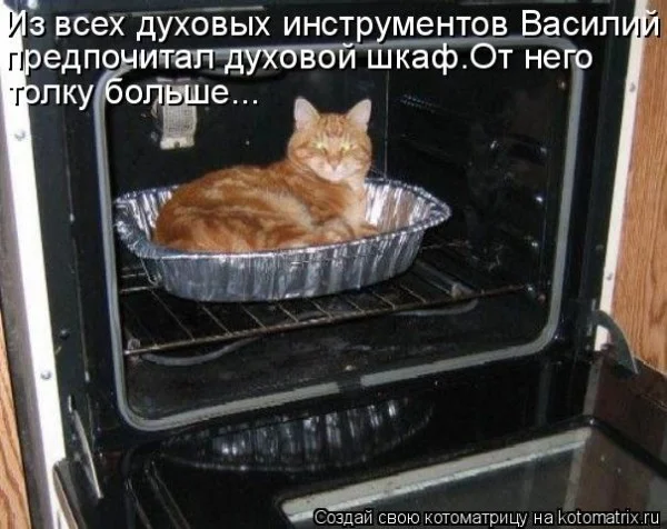 Если деньги не радуют — они чужие деньги, финансы, мотивация, приколы, подборка