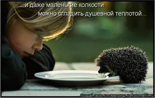 Утепленные дырки на коленях: как модницы спасаются от холода мода, джинсы, осень, тренды, стиль, девушки