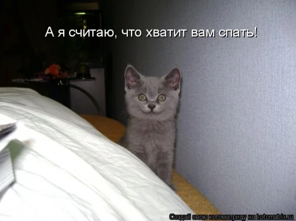 Утепленные дырки на коленях: как модницы спасаются от холода мода, джинсы, осень, тренды, стиль, девушки