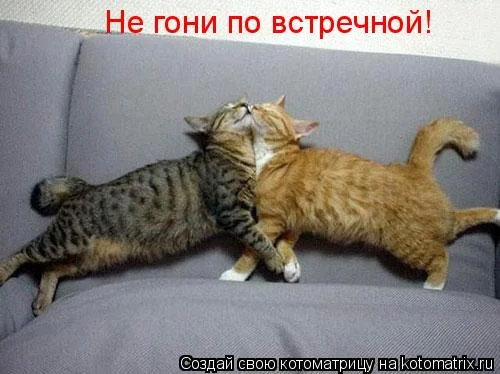 Утепленные дырки на коленях: как модницы спасаются от холода мода, джинсы, осень, тренды, стиль, девушки