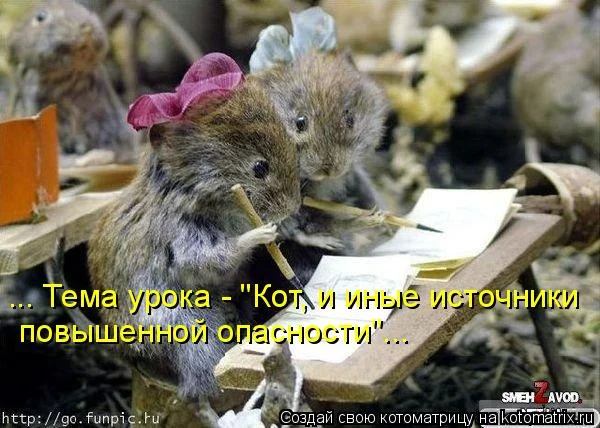Утепленные дырки на коленях: как модницы спасаются от холода мода, джинсы, осень, тренды, стиль, девушки