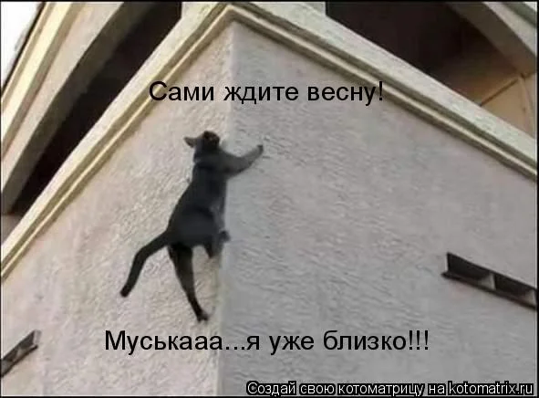 Утепленные дырки на коленях: как модницы спасаются от холода мода, джинсы, осень, тренды, стиль, девушки