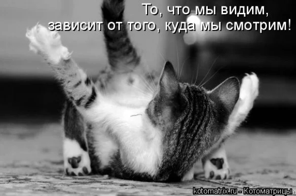 Утепленные дырки на коленях: как модницы спасаются от холода мода, джинсы, осень, тренды, стиль, девушки