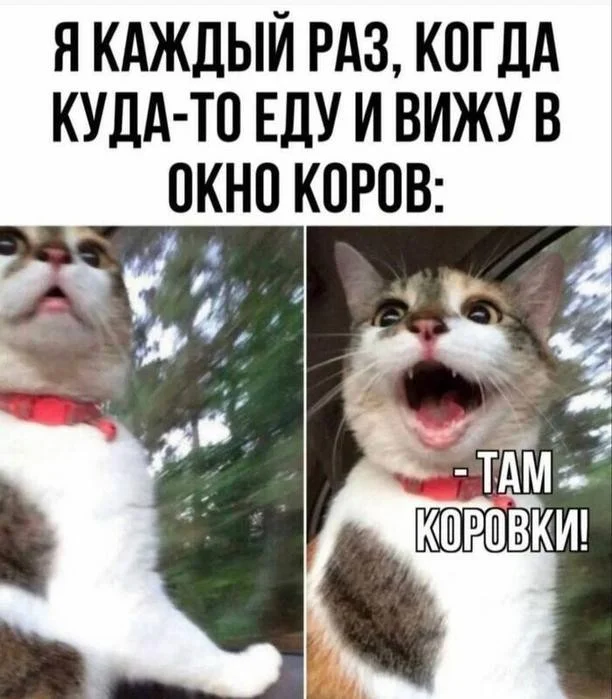 Пятница — день улыбок! пятница, приколы, смешные картинки, мемы, позитив, юмор