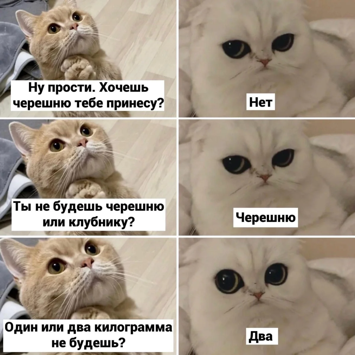 Смешные мемы про черешню: лето в каждой ягодке черешня, мемы, приколы, лето, картинки