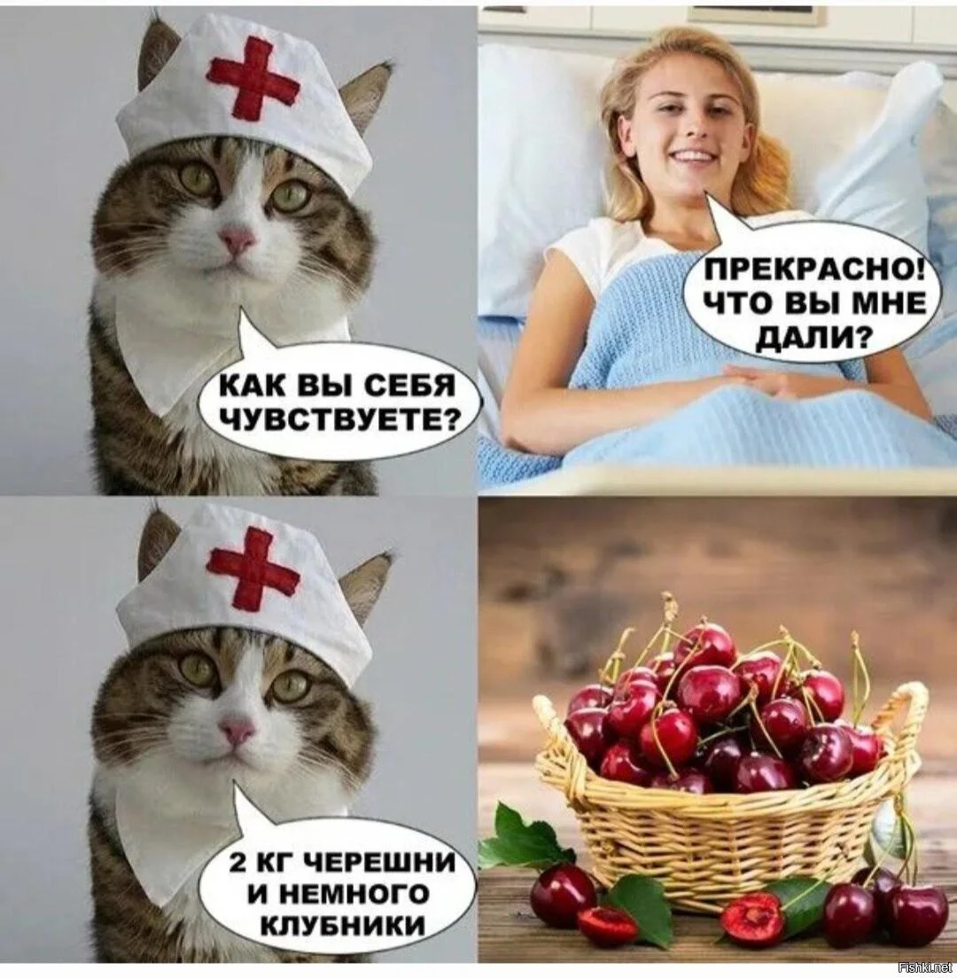 Смешные мемы про черешню: лето в каждой ягодке черешня, мемы, приколы, лето, картинки