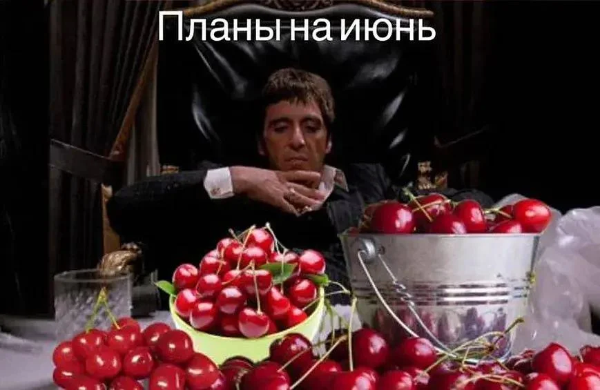 Смешные мемы про черешню: лето в каждой ягодке черешня, мемы, приколы, лето, картинки