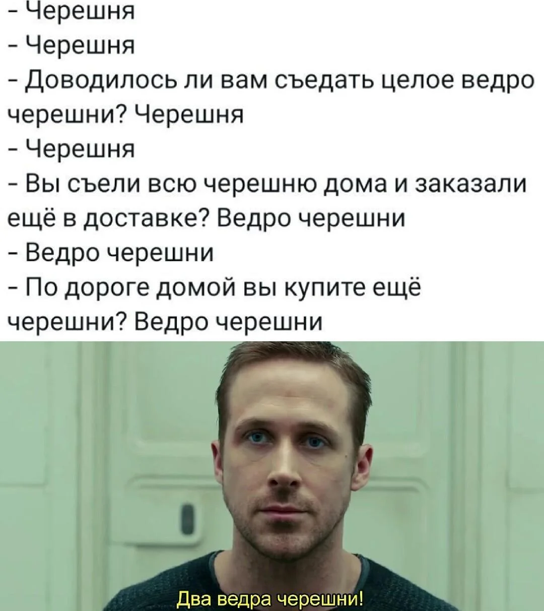 Смешные мемы про черешню: лето в каждой ягодке черешня, мемы, приколы, лето, картинки
