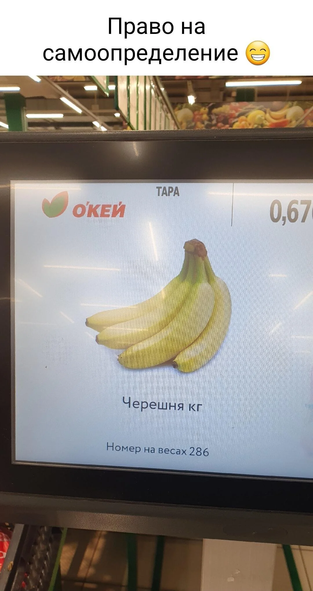 Смешные мемы про черешню: лето в каждой ягодке черешня, мемы, приколы, лето, картинки