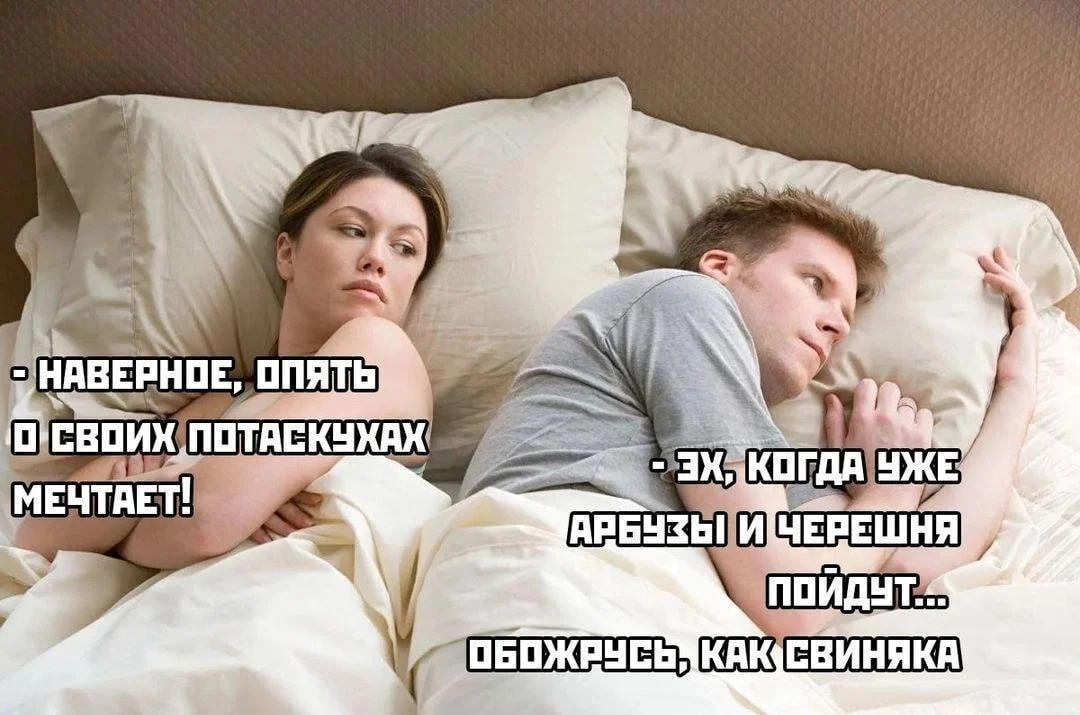 Смешные мемы про черешню: лето в каждой ягодке черешня, мемы, приколы, лето, картинки