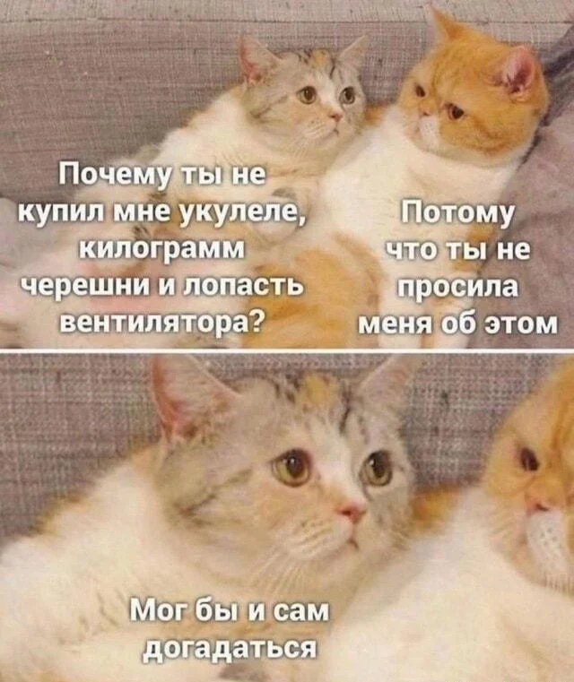 Смешные мемы про черешню: лето в каждой ягодке черешня, мемы, приколы, лето, картинки