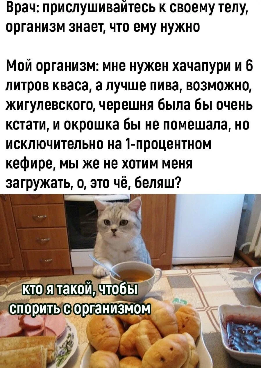 Смешные мемы про черешню: лето в каждой ягодке черешня, мемы, приколы, лето, картинки