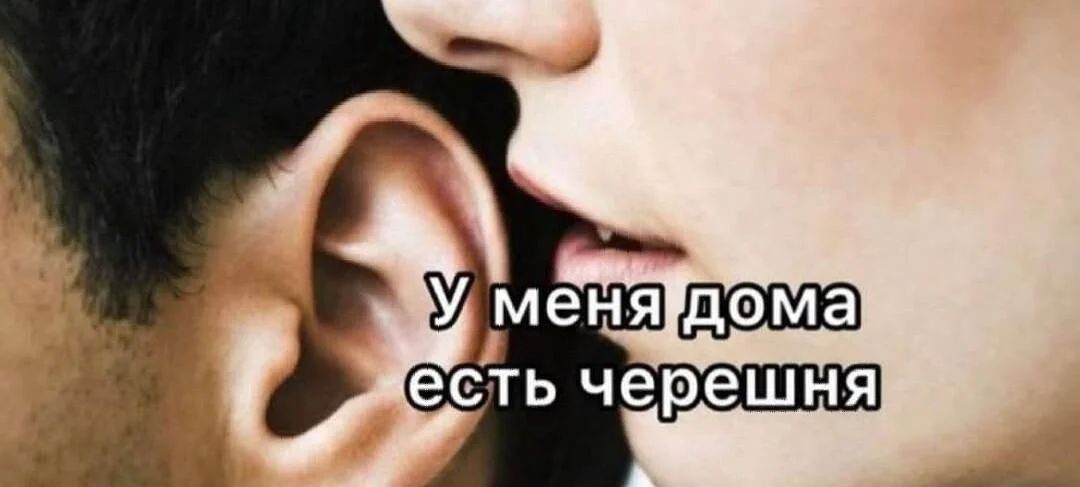Смешные мемы про черешню: лето в каждой ягодке черешня, мемы, приколы, лето, картинки