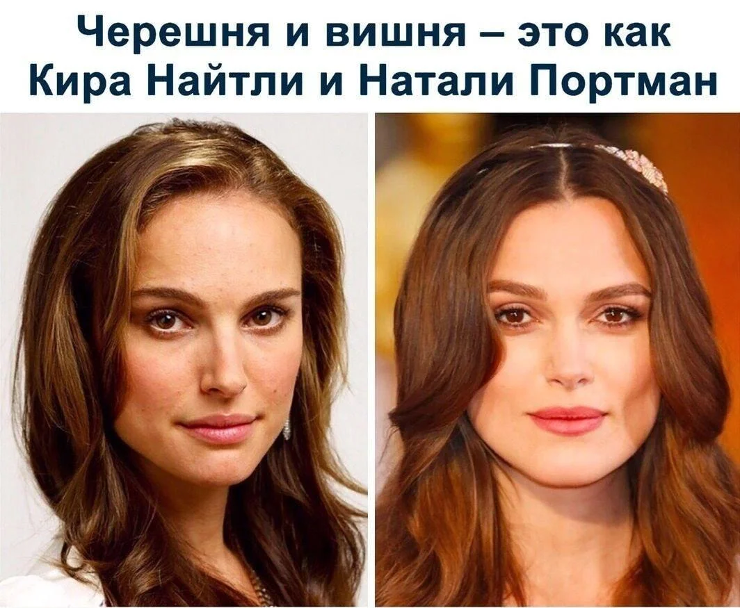 Смешные мемы про черешню: лето в каждой ягодке черешня, мемы, приколы, лето, картинки