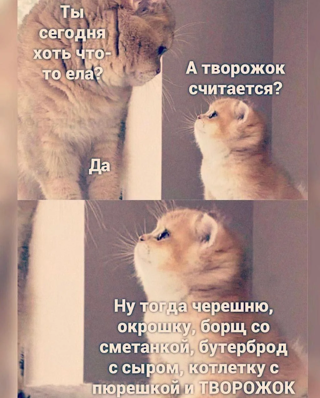 Смешные мемы про черешню: лето в каждой ягодке черешня, мемы, приколы, лето, картинки