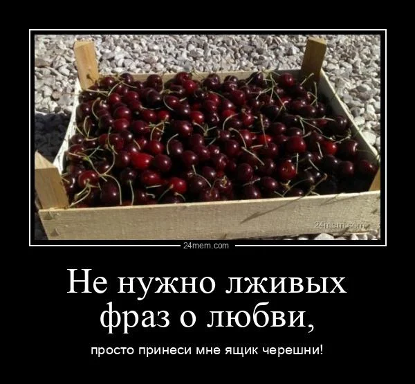 Смешные мемы про черешню: лето в каждой ягодке черешня, мемы, приколы, лето, картинки