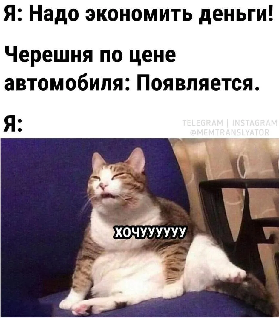 Смешные мемы про черешню: лето в каждой ягодке черешня, мемы, приколы, лето, картинки