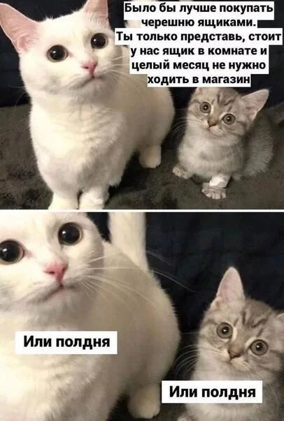 Смешные мемы про черешню: лето в каждой ягодке черешня, мемы, приколы, лето, картинки