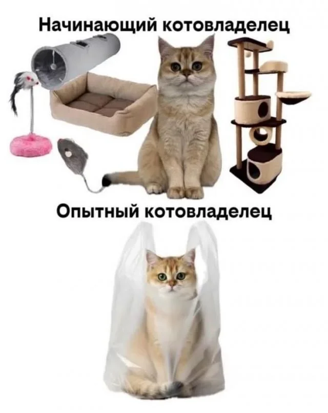 Заряжаемся позитивом: мемы на 12 июня мемы, приколы, картинки, юмор, подборка, 12 июня, пятница