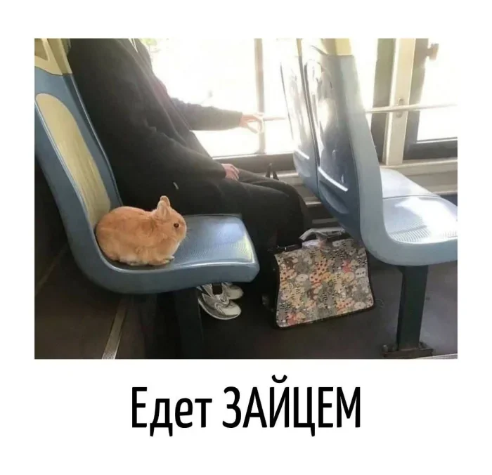 Словесные удары: когда язык сам себя наказывает Словесные удары: когда язык сам себя наказывает каламбур, игра слов, юмор, подборка, приколы