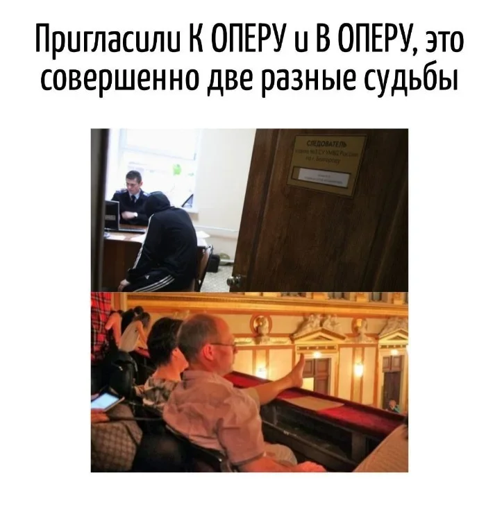 Словесные удары: когда язык сам себя наказывает каламбур, игра слов, юмор, подборка, приколы