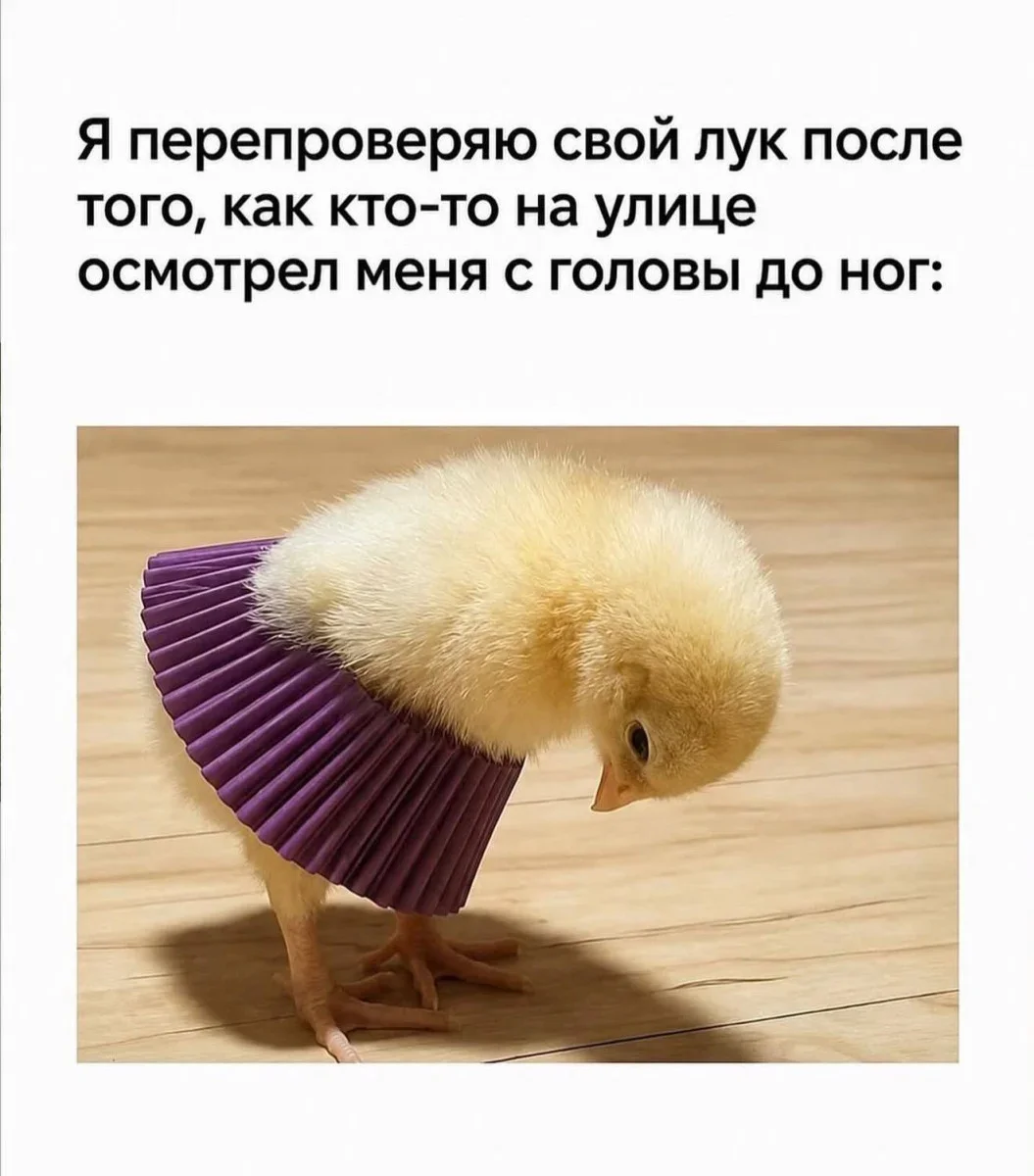Вечерний юмор: Красная Шапка и компания юмор, картинки, приколы, мемы