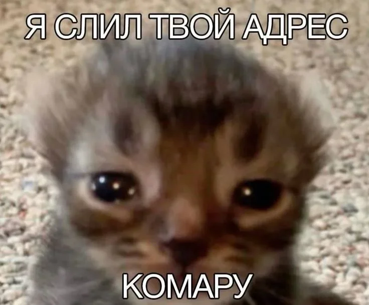 Вечерний юмор: Красная Шапка и компания юмор, картинки, приколы, мемы