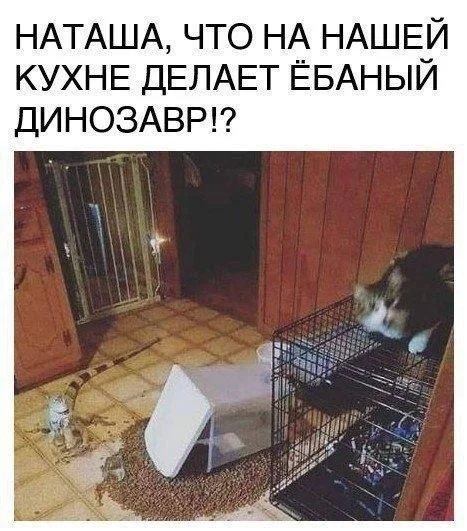 Угарный сборник мемов для выходных Угарный сборник мемов для выходных мемы, приколы, картинки, юмор, смешное, выходные