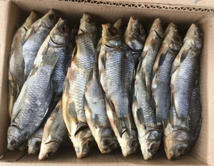 Соленая рыба из СССР: что скрывалось за культовой закуской Соленая рыба из СССР: что скрывалось за культовой закуской вобла, тарань, СССР, история, еда, закуска, копчение, вяление