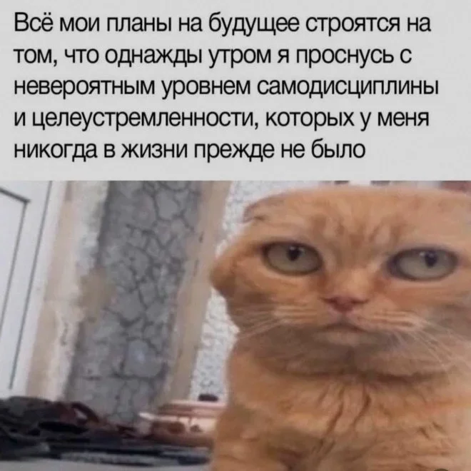 Субботняя порция мемов: от икры до лабораторных крыс мемы, приколы, юмор, подборка, смешные картинки