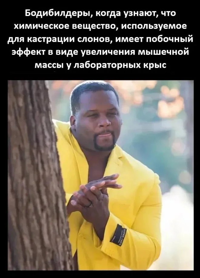 Субботняя порция мемов: от икры до лабораторных крыс мемы, приколы, юмор, подборка, смешные картинки