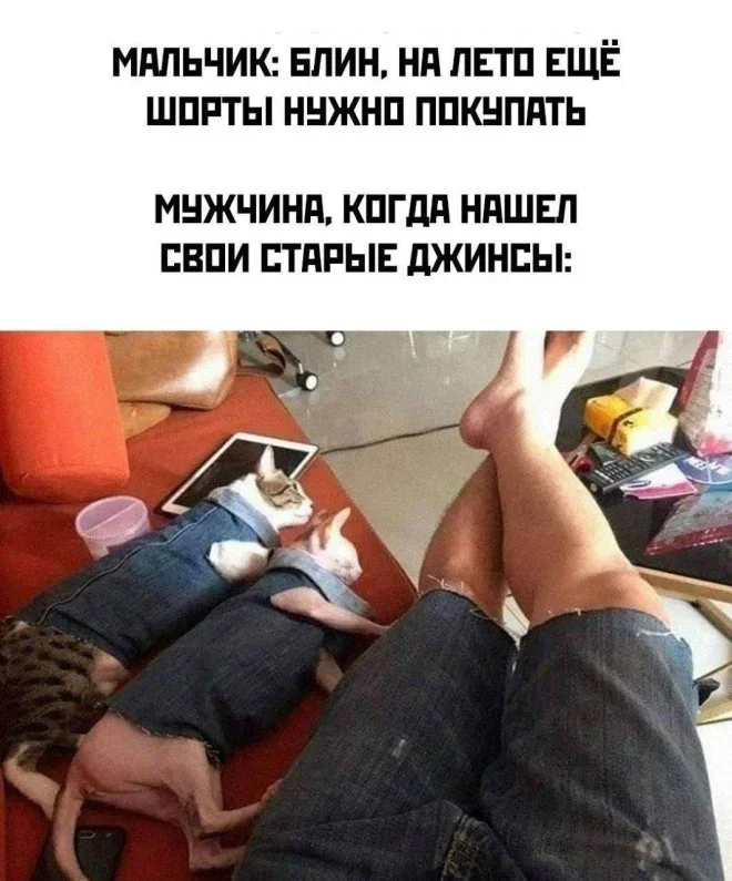 Субботняя порция мемов: от икры до лабораторных крыс мемы, приколы, юмор, подборка, смешные картинки