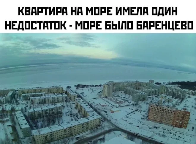 Субботняя порция мемов: от икры до лабораторных крыс мемы, приколы, юмор, подборка, смешные картинки