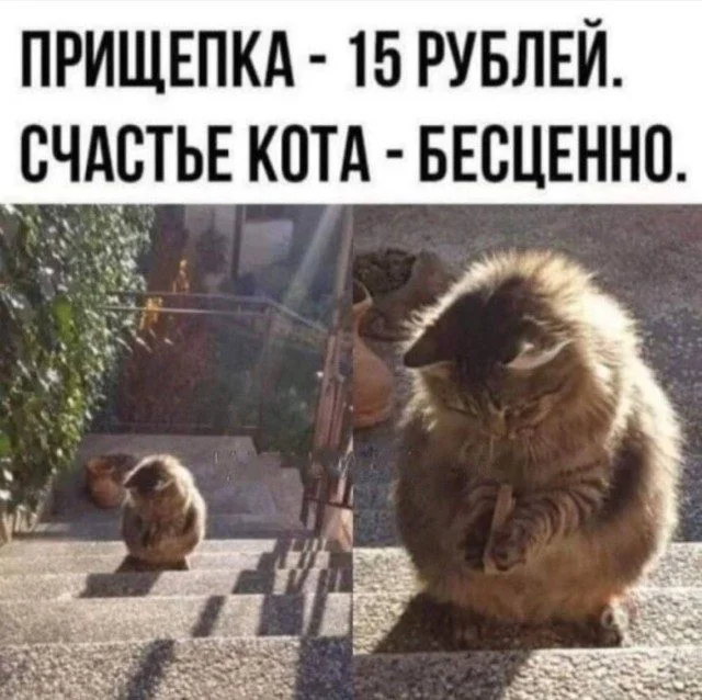 Когда реальность подкидывает мемы: угарная подборка приколы, смешные картинки, жиза, юмор