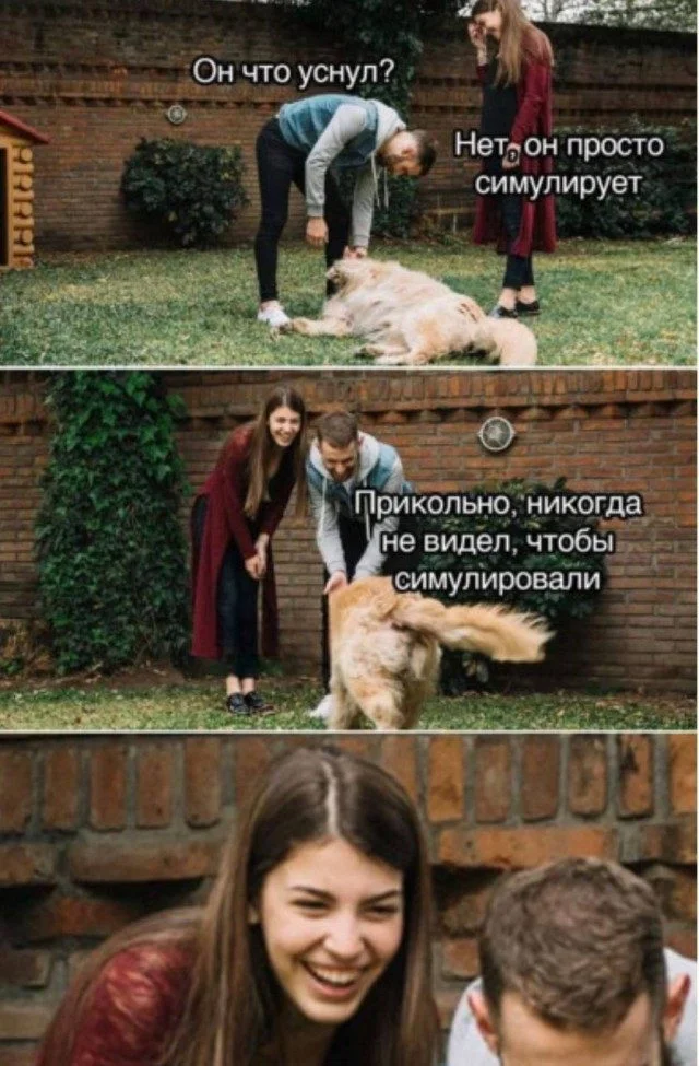 Абсурдный микс: кот, мама и чертеж вечного двигателя приколы, картинки, кот, философ, переписка, мама, вечный двигатель, юмор, подборка