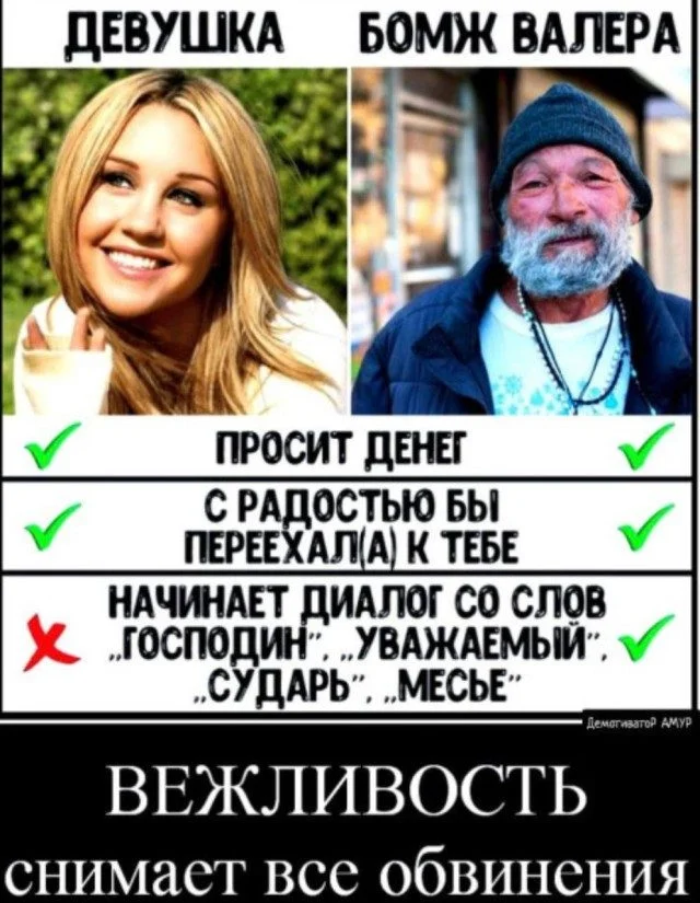 Абсурдный микс: кот, мама и чертеж вечного двигателя приколы, картинки, кот, философ, переписка, мама, вечный двигатель, юмор, подборка