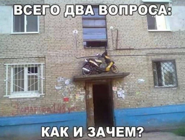 Абсурдный микс: кот, мама и чертеж вечного двигателя приколы, картинки, кот, философ, переписка, мама, вечный двигатель, юмор, подборка