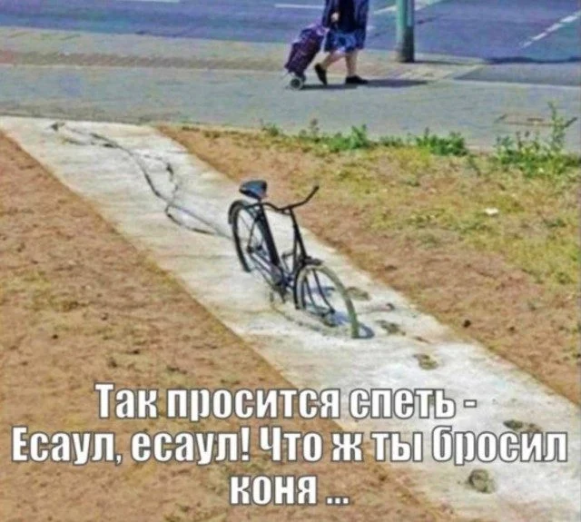 Абсурдный микс: кот, мама и чертеж вечного двигателя приколы, картинки, кот, философ, переписка, мама, вечный двигатель, юмор, подборка