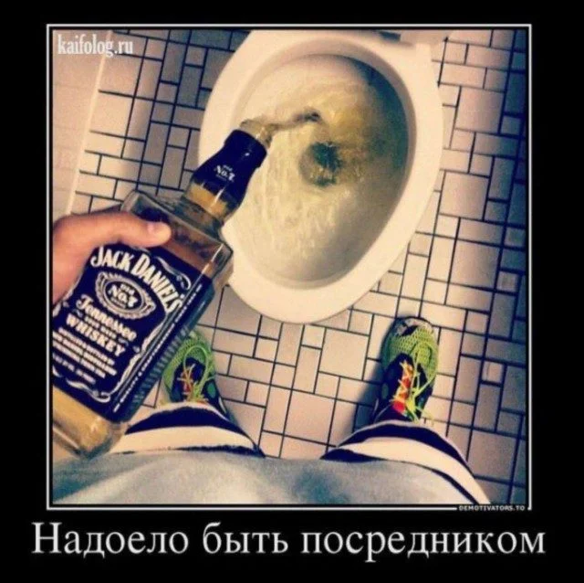 Абсурдный микс: кот, мама и чертеж вечного двигателя приколы, картинки, кот, философ, переписка, мама, вечный двигатель, юмор, подборка