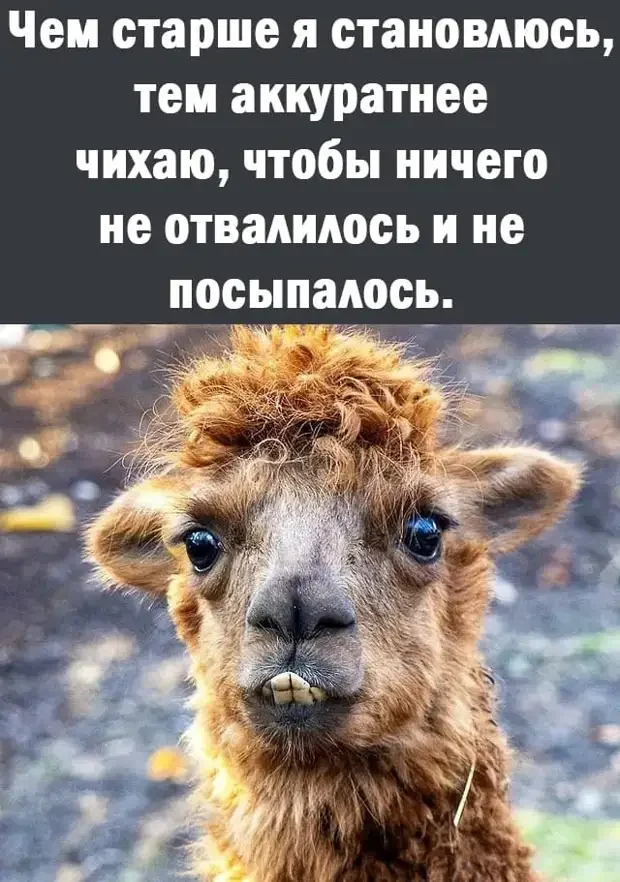 Смех сквозь слезы: подборка анекдотов про жизнь юмор, анекдоты, отношения, жиза