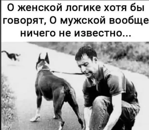 От смешного до абсурдного: подборка анекдотов и мемов, которые развеселят кого угодно От смешного до абсурдного: подборка анекдотов и мемов, которые развеселят кого угодно юмор, анекдоты, приколы, подборка